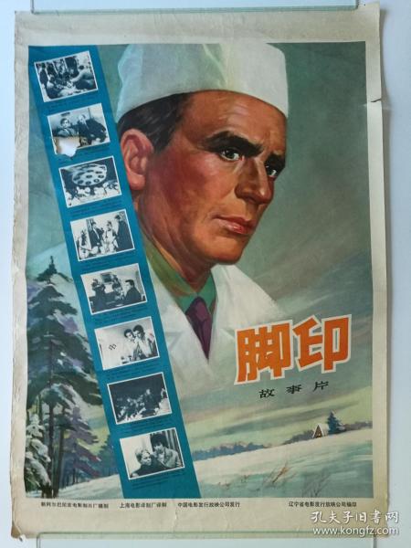 日本大学社会学文凭证书