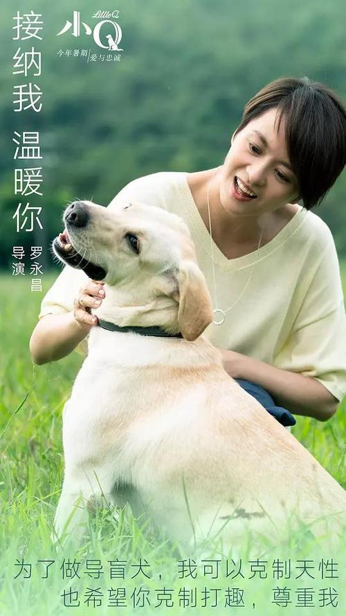 台湾国立台北大学教育部留服认证